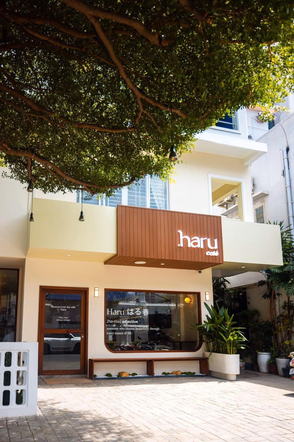 Haru Cafe | BKK photo 1