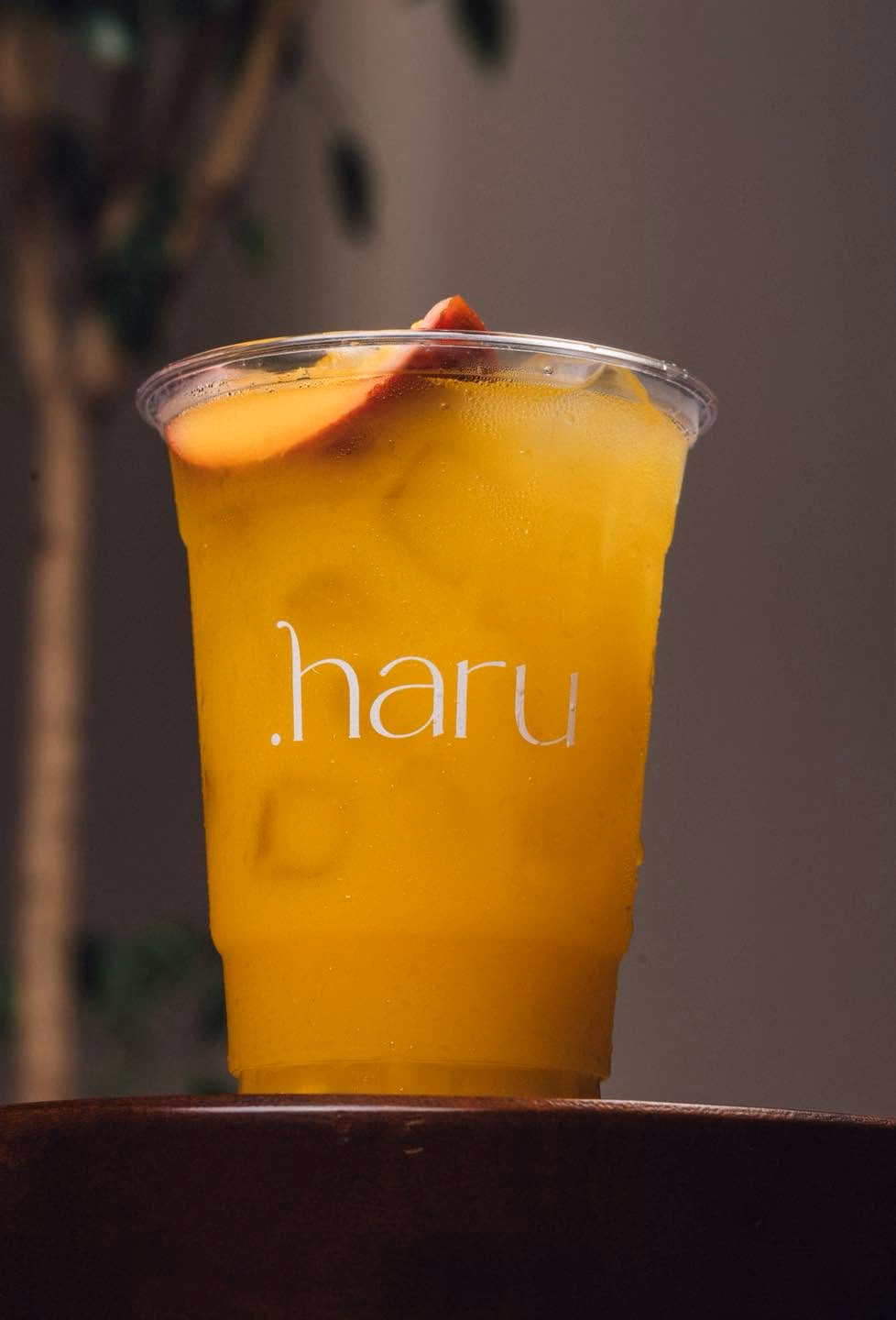 Haru Cafe | BKK photo 4