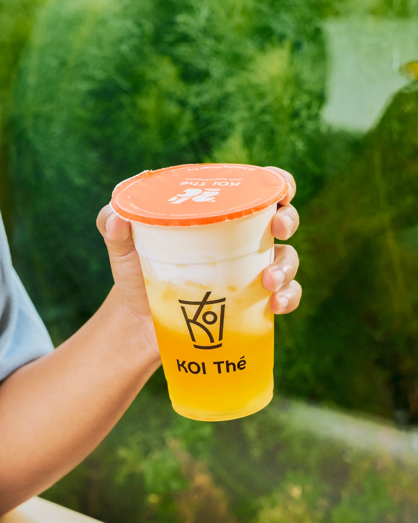 Koi The TK photo 6